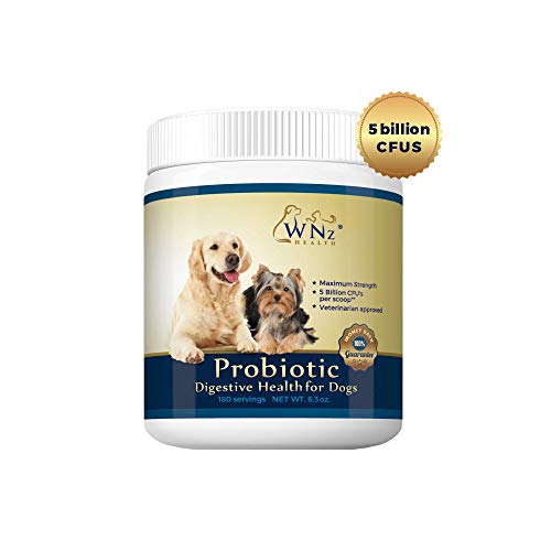 Probiotics for Dogs - Best Relief from Diarrhea Constipation Allergies Bad Breath Itching