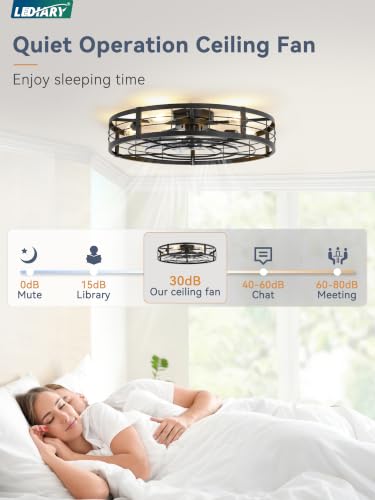 Image of LEDIARY 30 inch Caged Low Profile Ceiling Fan with Light and Remote Black