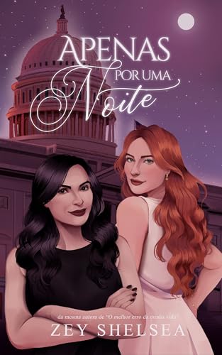 Apenas por uma noite: A senadora e a acompanhante de luxo