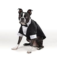 Algopix Similar Product 3 - East Side Collection Grooms Tuxedo for