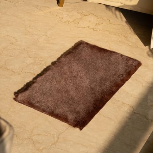 Image of Earthy Fables Feather Microfiber Rug /Mat, Thick, Quick Dry, Anti-Skid, Non-Slip, Machine Washable Floor Rug, Door Mat for Kitchen, Bedroom, Living Room, 60 x 40 cm - Brown
