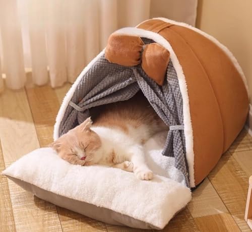 fancyflyLxbh LnEX ybgxbh xbh ybgNbV ybg}bg ybg\t@ ^nEX p h[ Eh^ J[e   ~p ~ g ӂӂ ΍ h ~ \ g₷ 