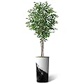 Artificial Tree in Contemporary Planter, Fake Ficus Silk Tree for Indoor and Outdoor Home Decoration - 75" Overall Tall (Plant Pot Plus Tree)