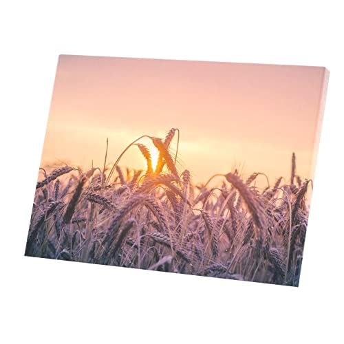 Affiche champ de blé et soleil levant décorative pour bureau calme