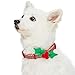 Blueberry Pet Holiday Christmas Dog Collar with Bow, Adjustable Medium Size, for Medium & Small Dogs, 14.5