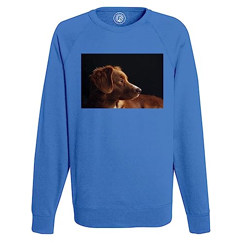 Sweatshirt homme chiot marron parfait pour vos balades décontractées