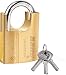 Lucchetto ad alta sicurezza in ottone ad alta sicurezza, con 3 chiavi, utilizzato per magazzini, contenitori, garage, persiane, magazzini, garage, recinzioni (40 mm)