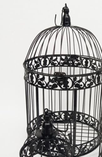 Vexnar p^BS gJ[hz_[  fUC z[CeA S[f MTCY (25*45) (L(30*55),ubN)