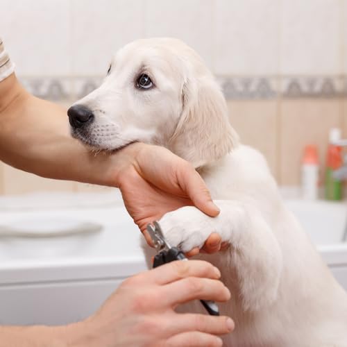9-Pcs-Dog-Nail-Clippers-Bulk-Pet-Nail-Clippers-Dog-Toenail-Clippers-Dog-Nail-Trimmer-Dog-Clippers-for-Grooming-Nails-Dog-Claw-Care-for-Small-Medium-Dogs