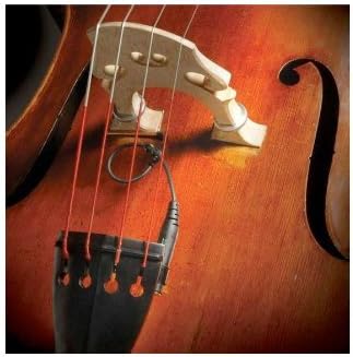 Realist RLSTSWB1 WoodTone Bass Pickup - The Most Respected Acoustic Instrument Pickup - Transparent Sound and Texture - Unmatched Dynamic Response - Self-Powered - USA Made