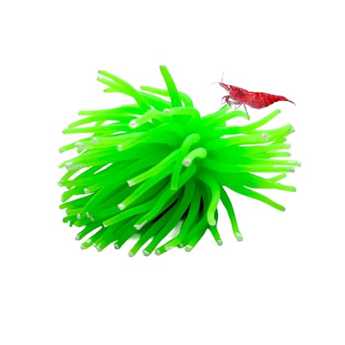 Image of CTWPets Fluorescent Aquarium Decor - Glowing Fish Tank Ornament for Freshwater & Saltwater | Safe for Betta, Shrimp, & Tropical Fish | Includes Collector Card (Green, Small)