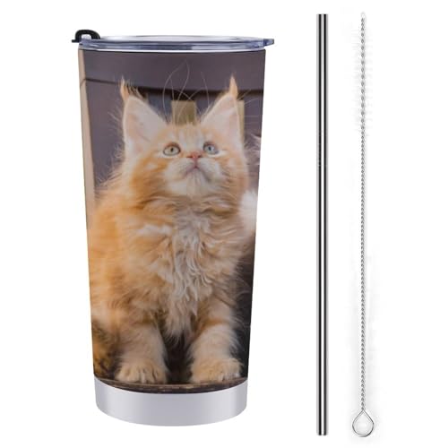  lR L ԗpRbv ԗp^u[  ԃJbv }OJbv ۉۗ XeX _CNg^Cv R[q[Jbv J[pi RrjJbv t^t 600ml Ԓ