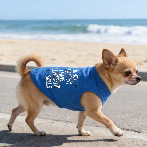 Disfraz para Perro Camiseta Algodón Azul Talla L miniatura 3