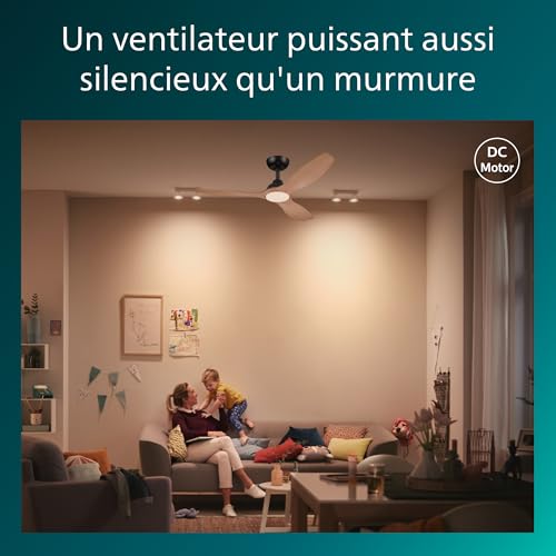 Ventilateur de Plafond Philips Bois - vue 5