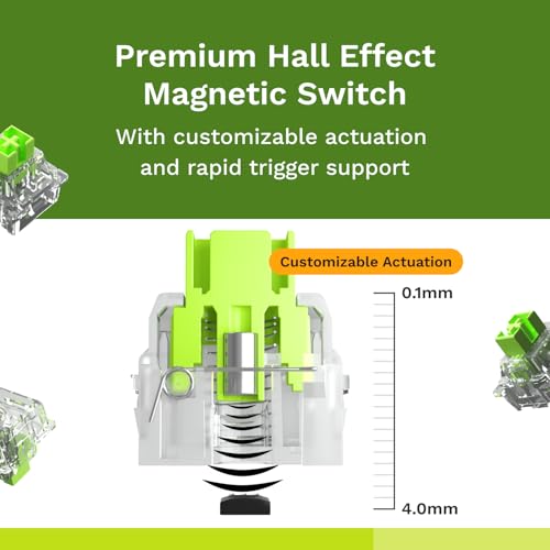 Glorious Raptor Clicky Hall-Effect Magnetic Switches (36-Pack), Transparent Housing, Pre-Lubed Click Bar, HE Hot-Swap Compatible, RGB-Optimized by GLORIOUS - Image 2