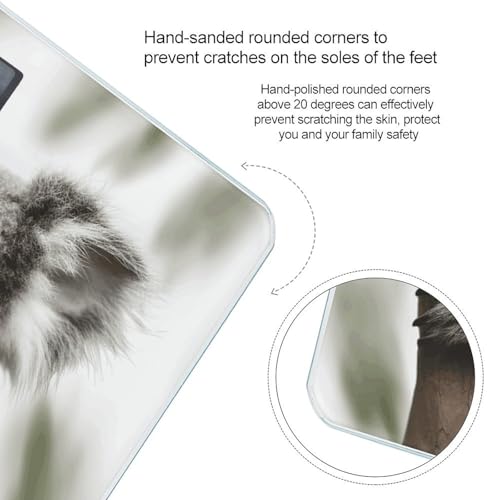 Báscula Digital Koala para Peso Corporal con Pantalla LCD miniatura 4