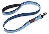 HALTI Lead For Dogs, Size Small, Blue, 1.2m, Premium Nylon Puppy & Dog Leash, Reflective, Neoprene-Padded Handle, Comfortable & Easy to Use, For Small, Medium & Large Dogs