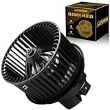 AC Blower Motor with Fan Fits for Ford Focus Escape C-Max Transit Connect Lincoln MKC 2012 2013 2014 2015 2016 2017 2018 2019 HVAC Heater Blower Motor Replaces# 700272