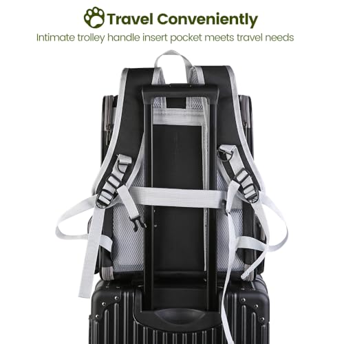 Inspack Transportadora de Gatos, Mochila para Cães E Gatos Pequenos, Mochila de Bolhas para Cães E G