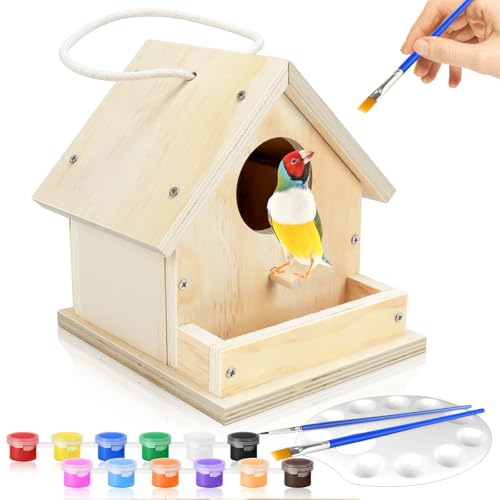 CZWESTC DIY Bird House Kit, Wooden Birdhouse with Painting Kit, Assembled Birdhouse with Pigments, Brushes, and Color Palettes, Build and Paint Toy for Kids Ages 5+