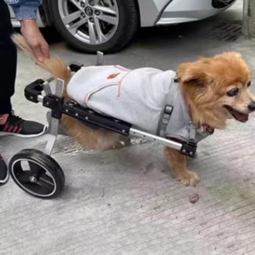 Fauteuil roulant pour chiens de moyenne taille idéal pour la promenade