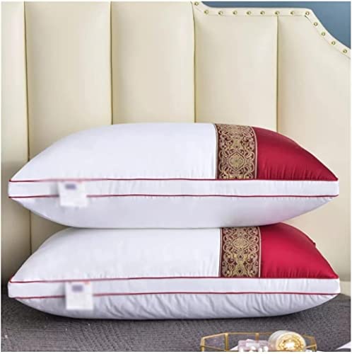 Oreiller de nuque d'hôtel ergonomique Feng Shui, literie douce et moelleuse 48x74cm