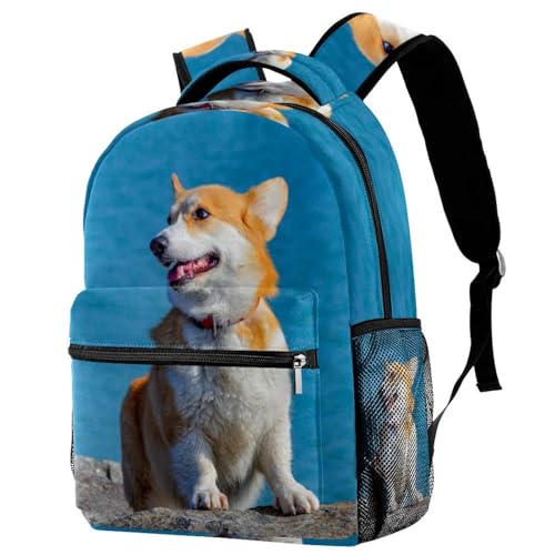 Sac à dos ordinateur portable tortue de mer pour ne plus manquer de place en voyage