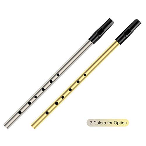Loijon 6 Holes Tin Whistle Tradicional Irlandês Penny Whistle Material Musical Instrumento Musical p