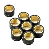 Rouleaux de Variateur de Course 8 Pièces 25x17mm Compatibles avec Piaggio Mp3 500 Lt RT X9 Evolution Abs X10 4V Ie Eu3 500cc(25x17mm 15g)