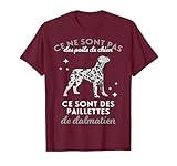 Ce ne sont pas des poils de chien. Ce sont des paillettes de Dalmatien