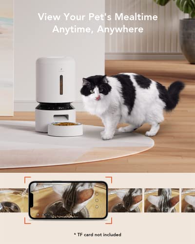 Comedero con fuente de agua para gatos y perros PETLIBRO miniatura 4