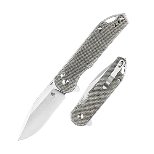 Kizer Assassin(XL) EDC Knife 154CM Steel Button lock Micarta Handle Pocket Knife Flipper Folding Knife V4549C1