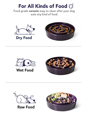 LE TAUCI Slow Feeder Dog Bowls Ceramic, 1.5 Cups Slow Feeding Dog Bowl Small Medium Breed, Puppy Slow Feeder Bow for… - Image 7