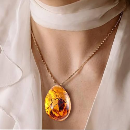 Image of 6PCS Amber Fossil Insect, Amber Fossils with Insects Samples Stones Crystal Samples for Home Decorations Collections Oval Pendants Pendant Science Educational (Amber Pendant) (B stely)
