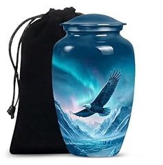 Eagle Fly Mountain With Aurora Light