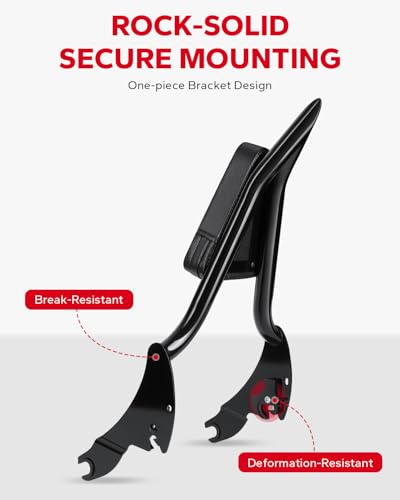 Amazicha Integrated Passenger Sissy Bar