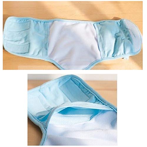 Couche pour chien en voyage bandeau mâle pour caniche et chiot - 5