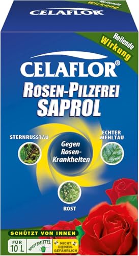 Substral Celaflor Rosen-Pilzfrei Saprol, 100 ml Konzentrat - gegen Pilzkrankheiten an Rosen, wie Echten Mehltau, Sternrußtau und Rost