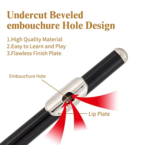 Yasisid Closed Hole C Flute 16 Keys Instrument For Student Beginners With Cleaning Kit, Stand, Carrying Case, Gloves And Tuning Rod (Black) #TOP1