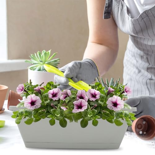 Vignette produit