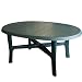 Produktbild Multistore 2002 Gartentisch 165x110cm, oval, grün - Vollkunststoff/Terrassentisch Beistelltisch Campingtisch Gartenmöbel Terrassenmöbel Campingmöbel Kunststofftisch
