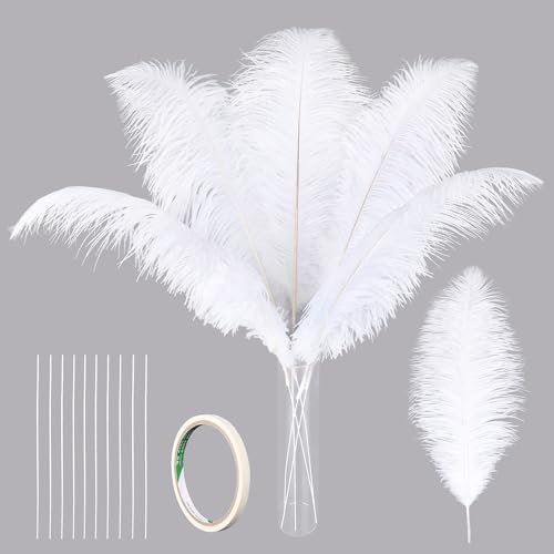 Lot de 10 Plumes d’Autruche Creny de 30 à 35 cm pour décoration d’intérieur ou Mariage (Blanc+tube d'extension)