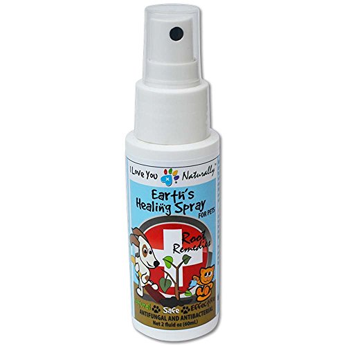 I Love You Naturally Vegan All Natural First Aid and Wound Care for Dogs - Gentle Powerful & Effective Antibacterial Anti-Fungal Antimicrobial Earths Healing Spray by PawFlex - 2 oz