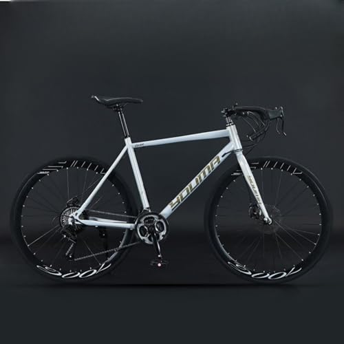 WGMVoꃍ[hoCN GA[hoCN 700C×40C Yf|t[MTB] y ] 21iϑ z fBXNu[L X ʋ ʊw Kg165cmȏ (40u[hzC[/xhnh,zCg)