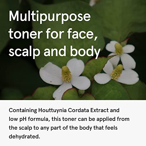 Houttuynia Cordata Heartleaf Extract Toner 5.07oz - image 4