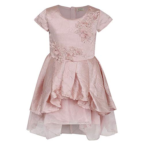 Image of Gini & Jony Girls Round Neck Applique Flared Dress
