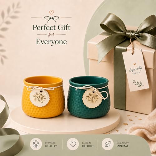 Image of Xtore Vibrant Textured Ceramic Planter Set of 2 with Wooden Tag Accent | Rustic Decorative Pots for Indoor Plants, Desk & Shelf Styling (Pack of 2, Planter only)