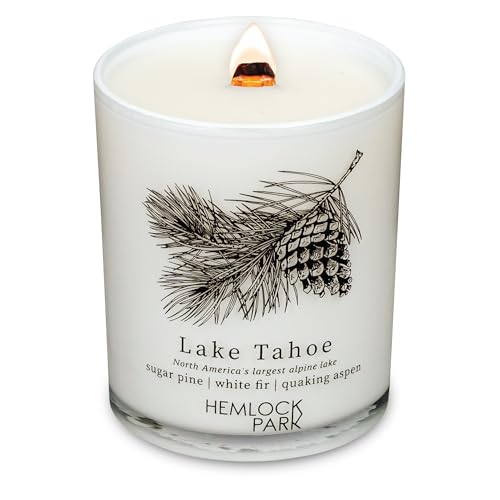 Hemlock Park Travel Inspired Passport Crackling Candle