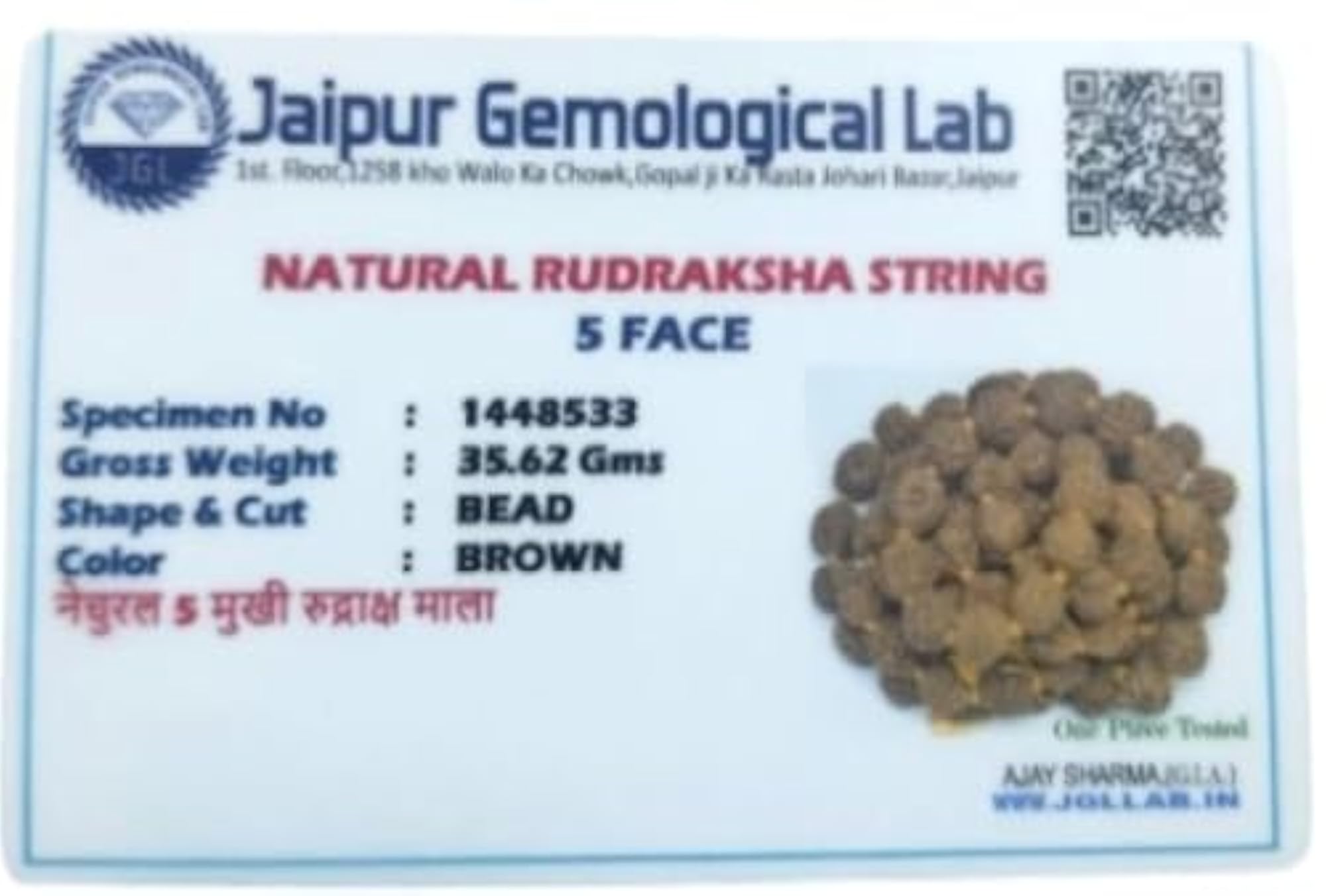Panchmukhi Rudraksha Maala, Certified Original