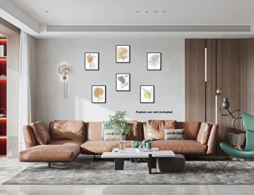 Abstract Line Floral Wall Art - Minimalist 6 Pieces Bohemian Flower Picture Posters Boho Geometric Artwork Unframed 8X10 Inch Prints Paper Paintings For People Living Room Bathroom Bedroom Home Decor #TOP2